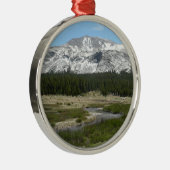 Hochland-Bergstrom I Ornament Aus Metall (Rechts)