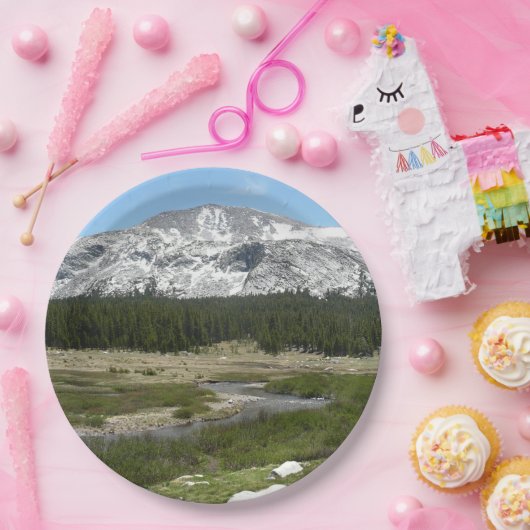 Hochland-Bergstrom I Pappteller (Party)