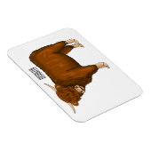 Hochland Cow Cartoon Magnet (Rechte Seite)