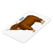 Hochland Cow Cartoon Magnet (Linke Seite)
