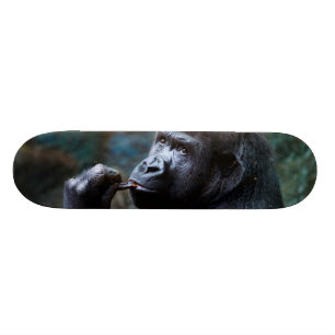 Hochland-Gorilla - Sammeln-Zähne Skateboard