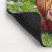 Hochland-Kuh-Foto Mousepad (Ecke)