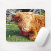 Hochland-Kuh-Foto Mousepad (Mit Mouse)