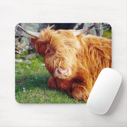 Hochland-Kuh-Foto Mousepad (Mit Mouse)