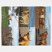 Hochland-Kuh-FotoCollage, Fleecedecke (Vorderseite (Horizontal))
