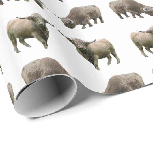 Hochland Kuh Frenzy Wrapping Paper (Farbe auswähle Geschenkpapier (Rolleneckpunkt)