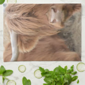 Hochland-Kuh Handtuch (Gefaltet)