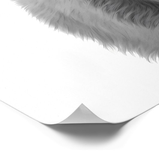 Hochland-Kuh-Kopfportrait Schwarz-weiß Poster (Ecke)