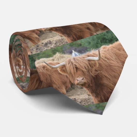 Hochland-Kuh Krawatte (Gerollt)