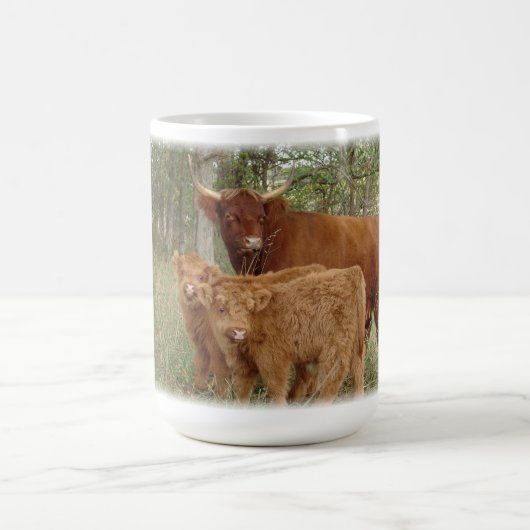 Hochland-Kuh mit Kälbern Kaffeetasse (Mittel)