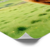 Hochland-Kuh-Natur-Zuneigung Liebe Poster (Ecke)