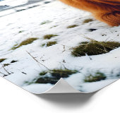 Hochland-Kuh-Natur-Zuneigung Liebe Poster (Ecke)