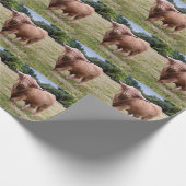 Hochland-Kuh-Packpapier Geschenkpapier (Ecke)