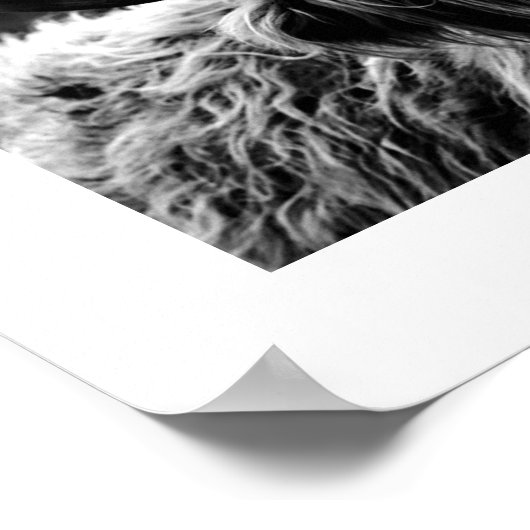 Hochland Kuh Rustic Boho Chic Black and White Poster (Ecke)