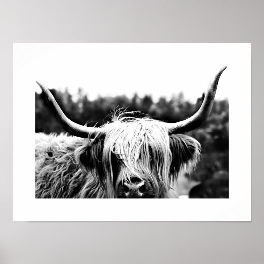 Hochland Kuh Rustic Boho Chic Black and White Poster (Vorne)