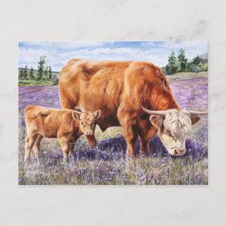 Hochland-Kuh und Kalb Lila Wildblumen Postkarte