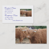 Hochland-Kuh Visitenkarte (Vorne/Hinten)