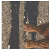 Hochland-Kühe-FotoCollage, Stoff (Nahaufnahme)