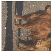 Hochland-Kühe-FotoCollage, Stoff (Muster)