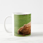 Hochland-Vieh Kaffeetasse (Links)