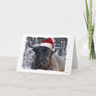 Hochland-Vieh-Weihnachtskarte Feiertagskarte