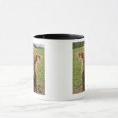 Hochland-Viehkalb, nahe Dufftown, Tasse (Zentrum)