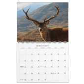 Hochländer und Inseln der Kalender (Mär 2027)