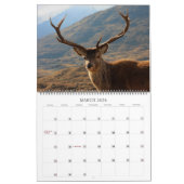Hochländer und Inseln der Kalender (Mär 2026)
