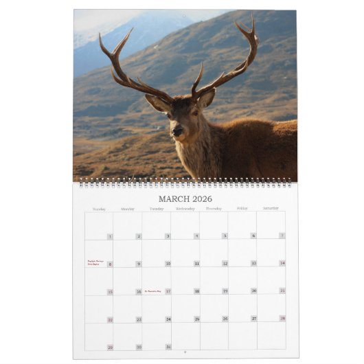 Hochländer und Inseln der Kalender (Mär 2026)
