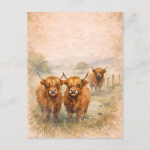 Hochlandkuh - Aquarell-Tiere Postkarte