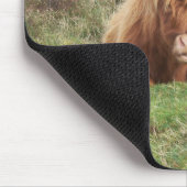 Hochlandkuh auf Dartmoor Mousepad (Ecke)