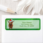 Hochlandkuh auf Grün (Insitu)