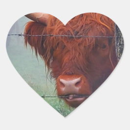 Hochlandkuh, die einen Drahtzaun bindet Herz-Aufkleber