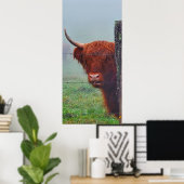 Hochlandkuh, die einen Drahtzaun bindet Poster (Heimbüro)