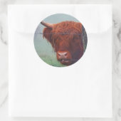 Hochlandkuh, die einen Drahtzaun bindet Runder Aufkleber (Tasche)