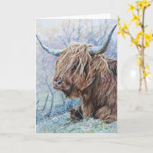 Hochlandkuh, frostiger Morgen Karte (Gelbe Blume)