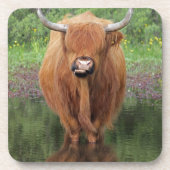 Hochlandkuh Getränkeuntersetzer (Vorderseite)