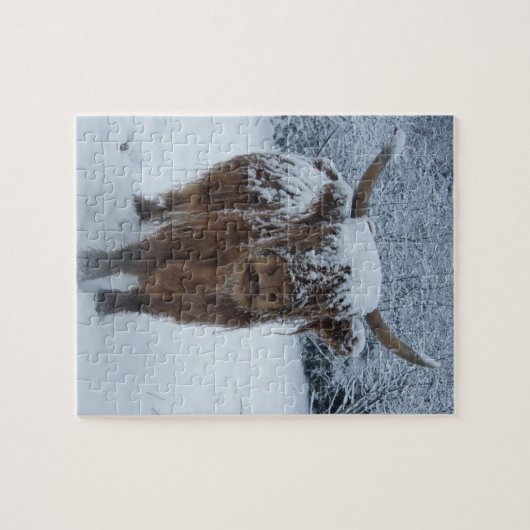 Hochlandkuh im Schnee Puzzle (Horizontal)