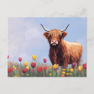 Hochlandkuh in einem Gebiet der Tulipen Postkarte
