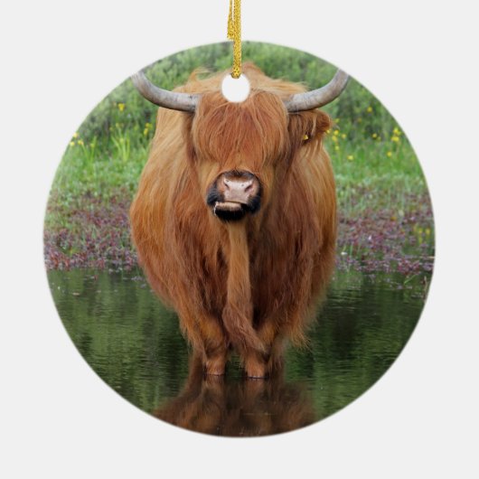 Hochlandkuh Keramikornament (Hinten)