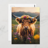 Hochlandkuh mit farbenfroher Blume Postkarte (Vorne/Hinten)