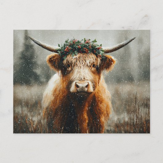 Hochlandkuh mit Weihnachtskranzkrone Postkarte (Vorderseite)
