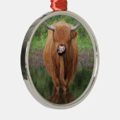 Hochlandkuh Silbernes Ornament (Rechts)