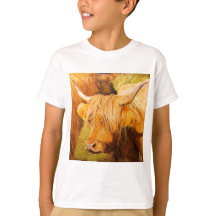 Hochlandkühe, schottisches Vieh