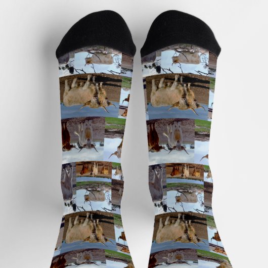 Hochlandkuhfoto-Collage, Crew Socken (Oben)