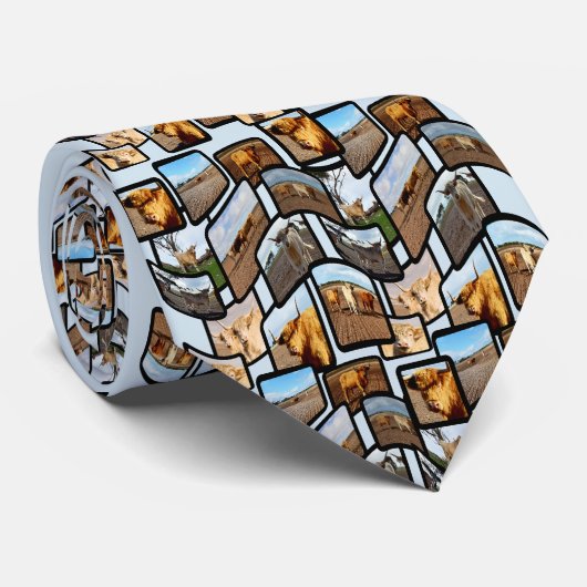 Hochlandkuhfotolage Montage, Krawatte (Gerollt)