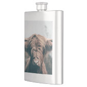 Hochlandkuhportrait Flachmann (Links)