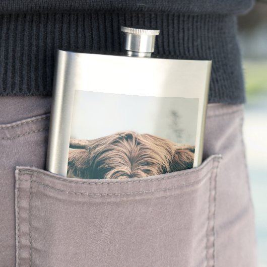 Hochlandkuhportrait Flachmann (Beispiel)