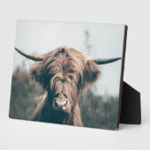 Hochlandkuhportrait Fotoplatte (Seite)