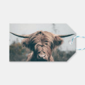 Hochlandkuhportrait Geschenkanhänger (Vorderseite (Horizontal))